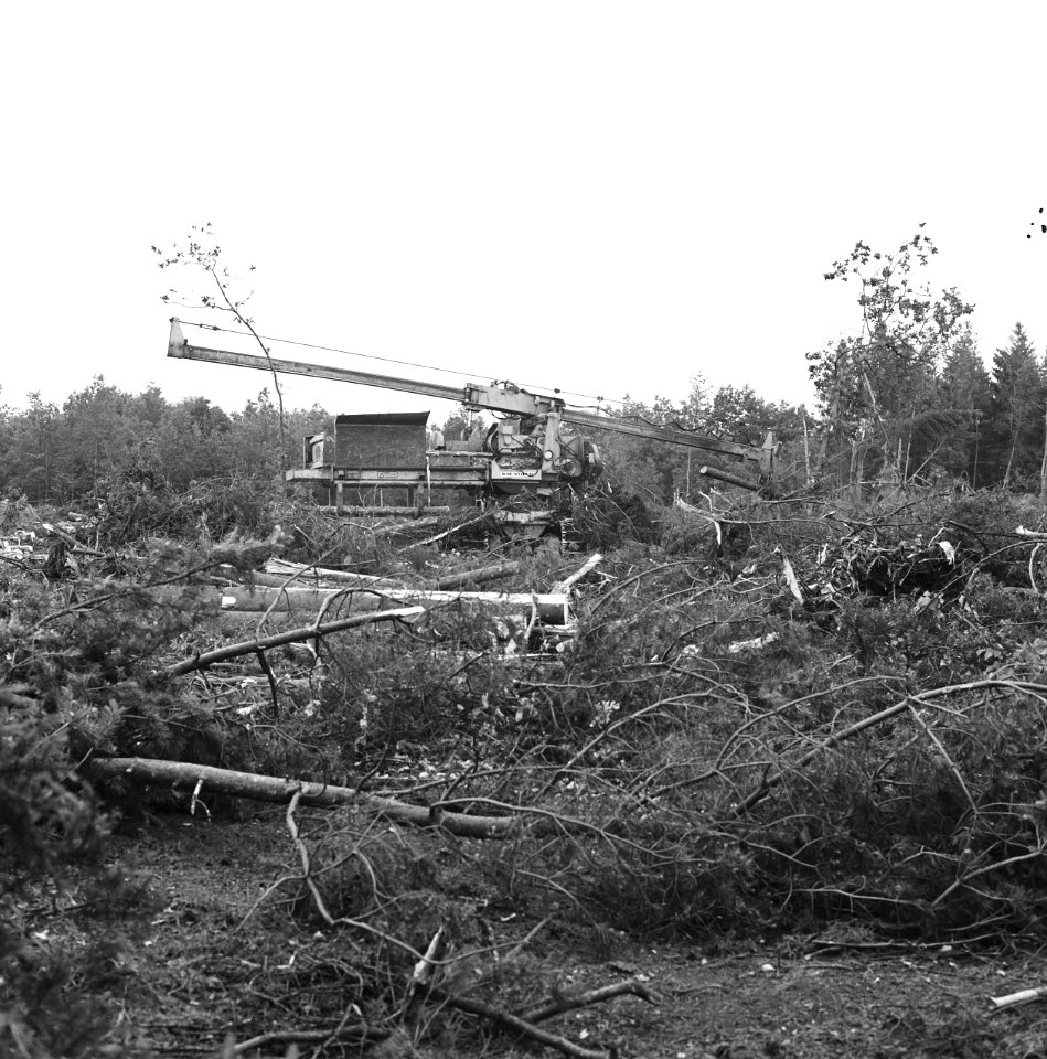 Bomen, machines, onttakken, Bestanddeelnr 164-1063