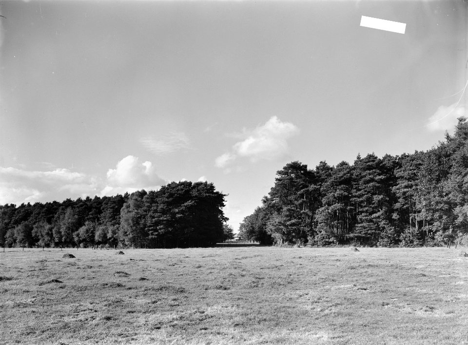 Bomen, graslanden, Bestanddeelnr 253-7781