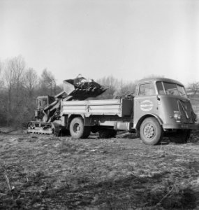 Bomen, machines, werktuigen, vrachtwagens, boomwortels, Bestanddeelnr 251-8698
