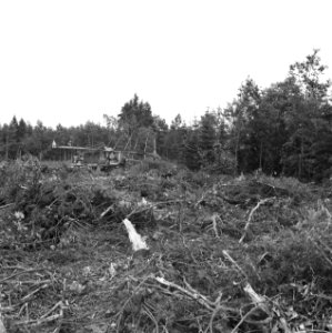 Bomen, machines, onttakken, Bestanddeelnr 164-1064