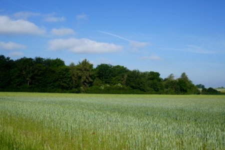 Boke - Hünenburg - 7