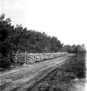 Bossen, bospaden, boomstammen, houtopslag, Bestanddeelnr 253-6129