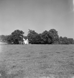 Bomen, grasvelden, gebouwen, Bestanddeelnr 251-7462