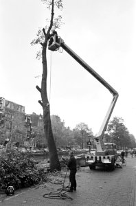 Bomen, machines, grachten, Bestanddeelnr 919-7038