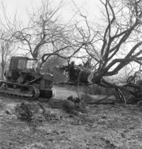 Bomen, machines, werktuigen, kuilen, laadbakken, Bestanddeelnr 251-8696