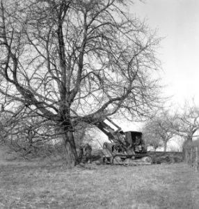 Bomen, machines, werktuigen, arbeiders, werkzaamheden, Bestanddeelnr 251-8690