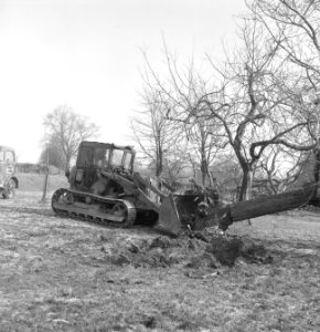 Bomen, machines, werktuigen, kuilen, Bestanddeelnr 251-8695