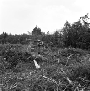 Bomen, machines, onttakken, Bestanddeelnr 164-1065