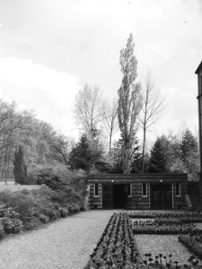 Bomen, tuinen, gebouwen, Populier, Bestanddeelnr 192-0447