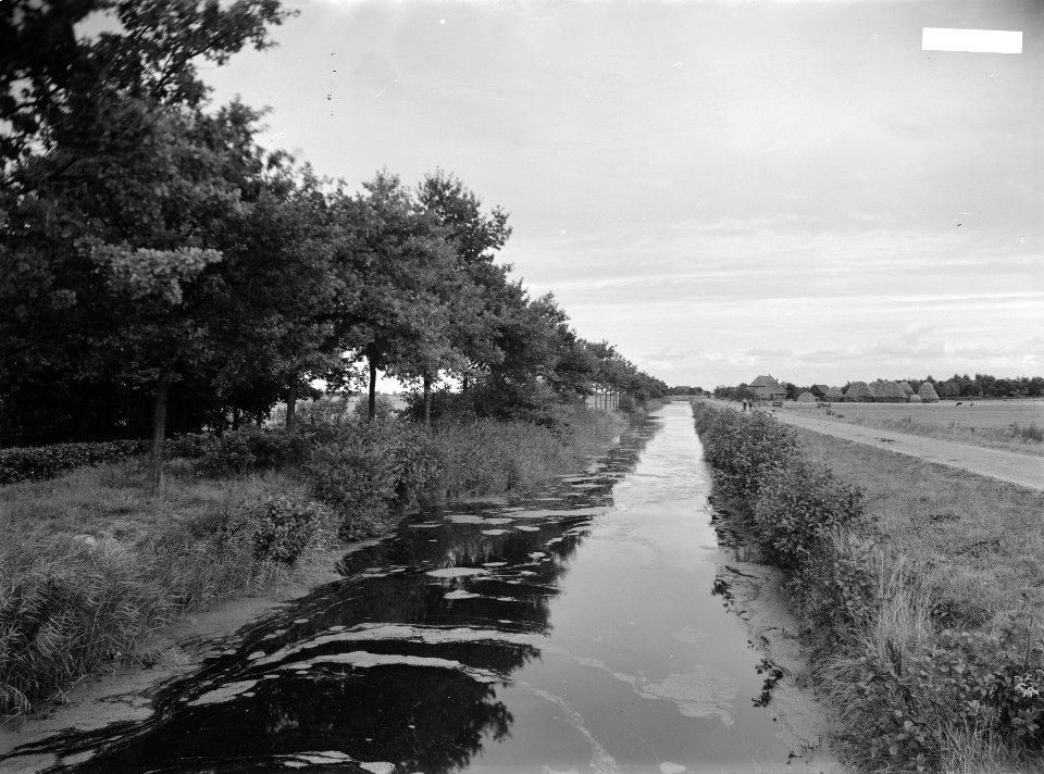 Bomen, sloten, Bestanddeelnr 253-7718
