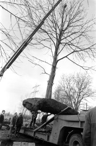 Bomen, kanalen, Bestanddeelnr 923-4330