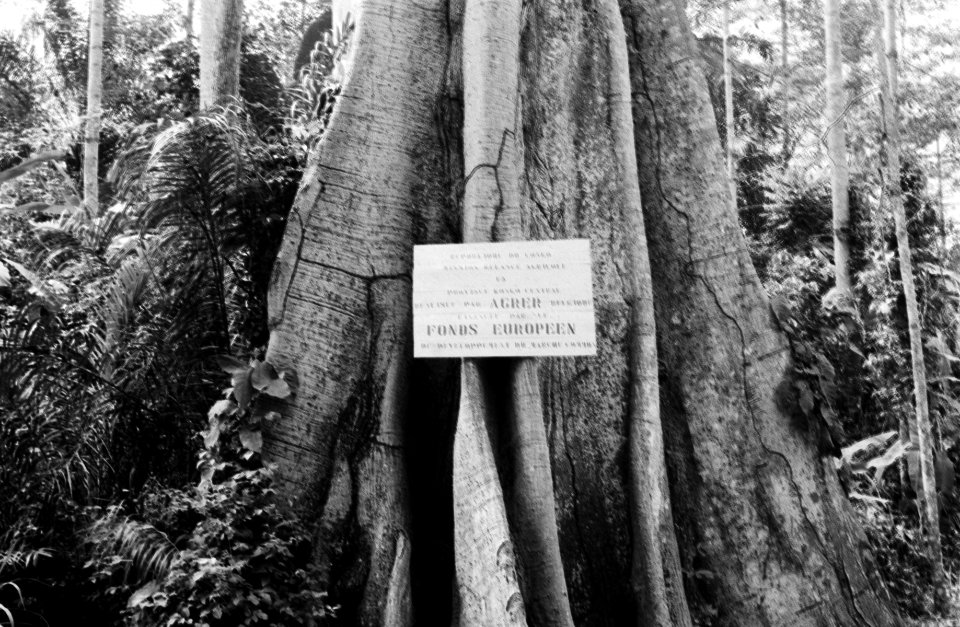 Bomen, borden, Bestanddeelnr 251-3724