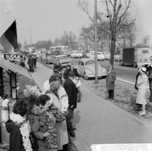 Bollenzondag, overzicht drukte in Keukenhof, Bestanddeelnr 916-3529 photo