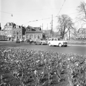 Bollenveld op het Weteringcircuit, Bestanddeelnr 909-4591
