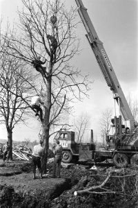 Bomen, kanalen, hijskranen, Bestanddeelnr 923-4332
