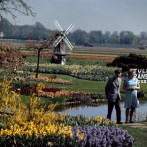 Bollenvelden en bollententoonstelling, Bestanddeelnr 254-9461