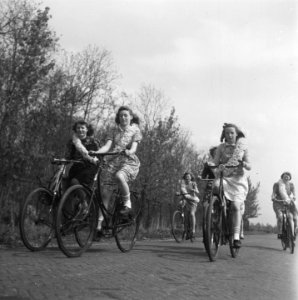 Bollenvelden, Bestanddeelnr 901-6912