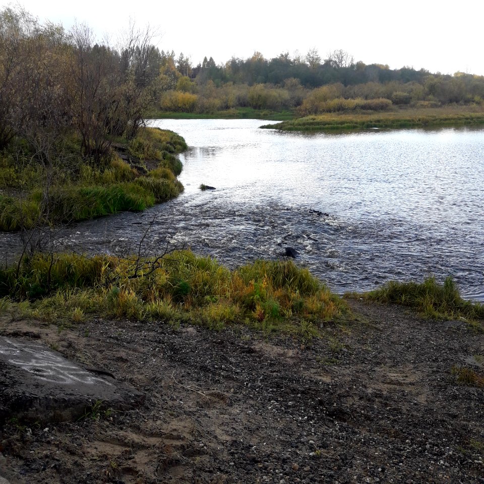 Bolshaya Koryazhemka, Koryazhma 2018 (02)