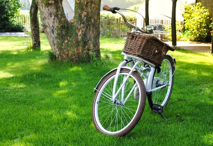 Bike garden grass photo