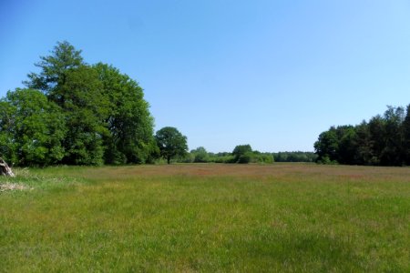 Boke, Thüle - Barbruch