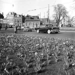 Bollenveld op het Weteringcircuit, Bestanddeelnr 909-4592