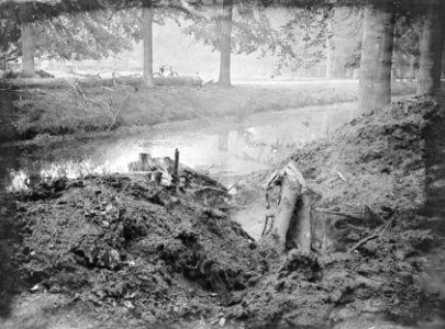 Bomen, springlading, overblijfselen, Bestanddeelnr 192-0667