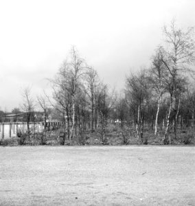 Bomen, afrasteringen, gebouwen, Bestanddeelnr 253-6152