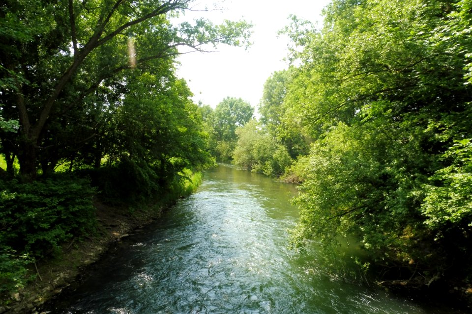 Boke - NSG Lippeniederung III - Kirchboke - 5