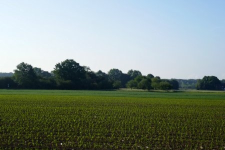 Boke - Hünenburg - 5
