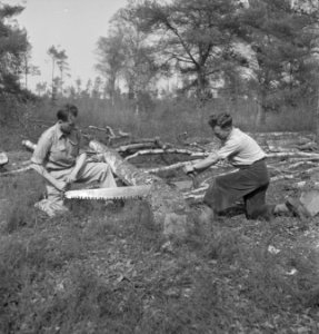 Bomen, zagen, stammen, Bestanddeelnr 169-0071