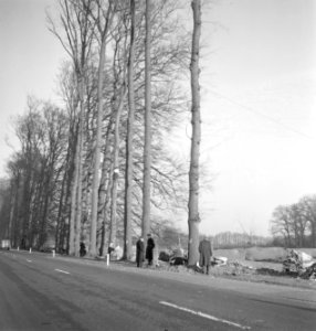 Bomen, wegen, mannen, Bestanddeelnr 251-8706