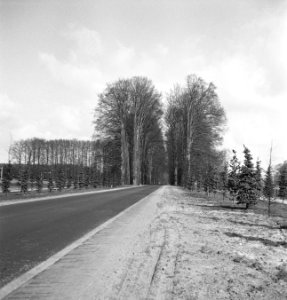 Bomen, wegen, Bestanddeelnr 251-7530