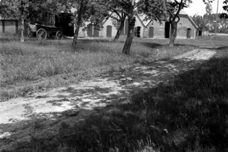 Boerderijen, lanen, boerenkarren, Bestanddeelnr 170-0085
