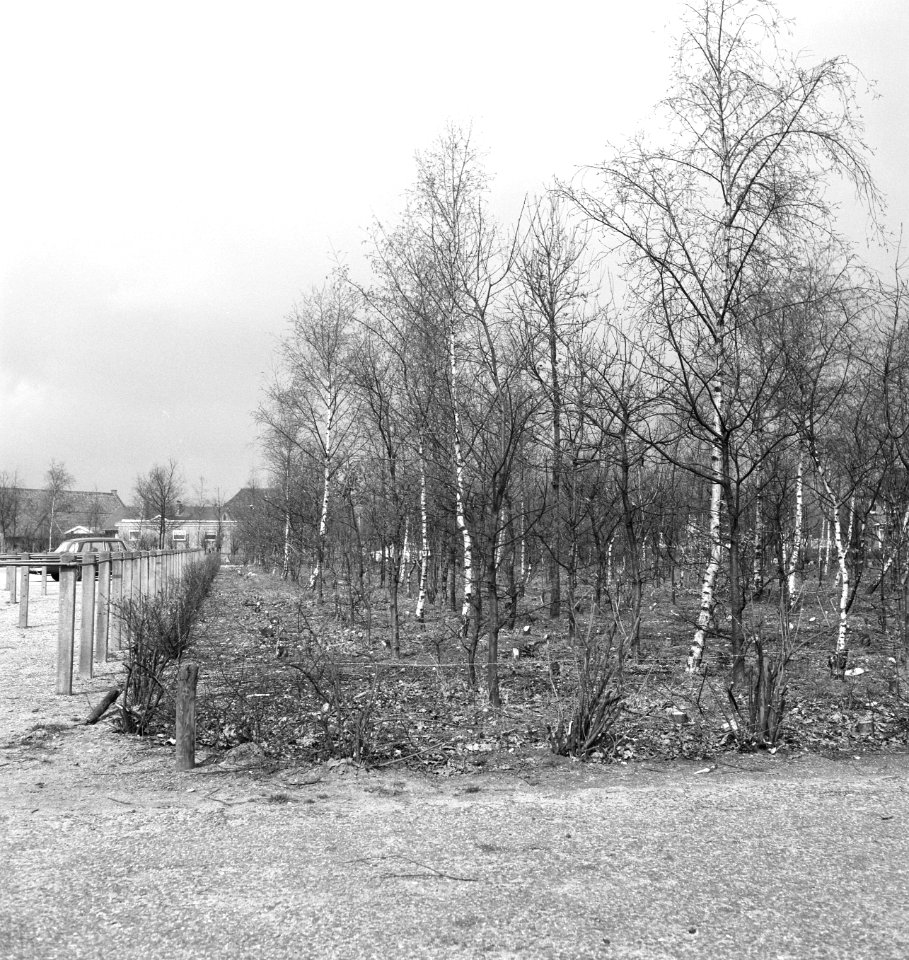 Bomen, afrasteringen, gebouwen, Bestanddeelnr 253-6151