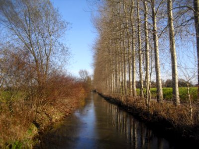Boker-Heide-Kanal