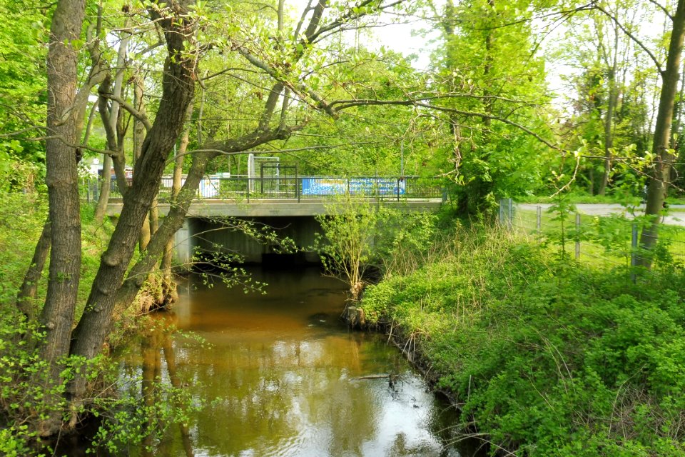 Boker-Heide-Kanal - Thune-Aquädukt - 2