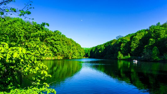 Lake trees landscape