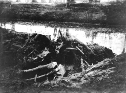 Bomen, springlading, overblijfselen, Bestanddeelnr 192-0666