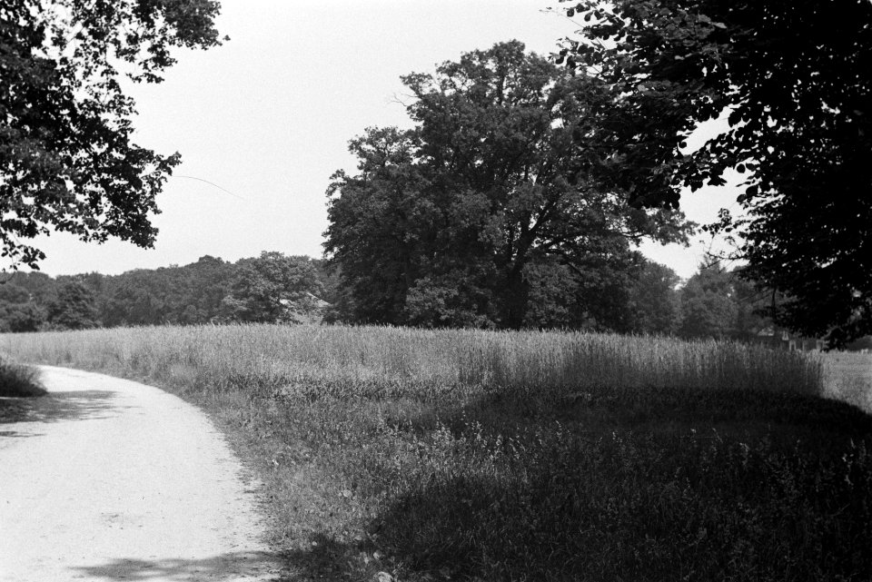 Bomen, beplantingen, wegen, Bestanddeelnr 170-0090
