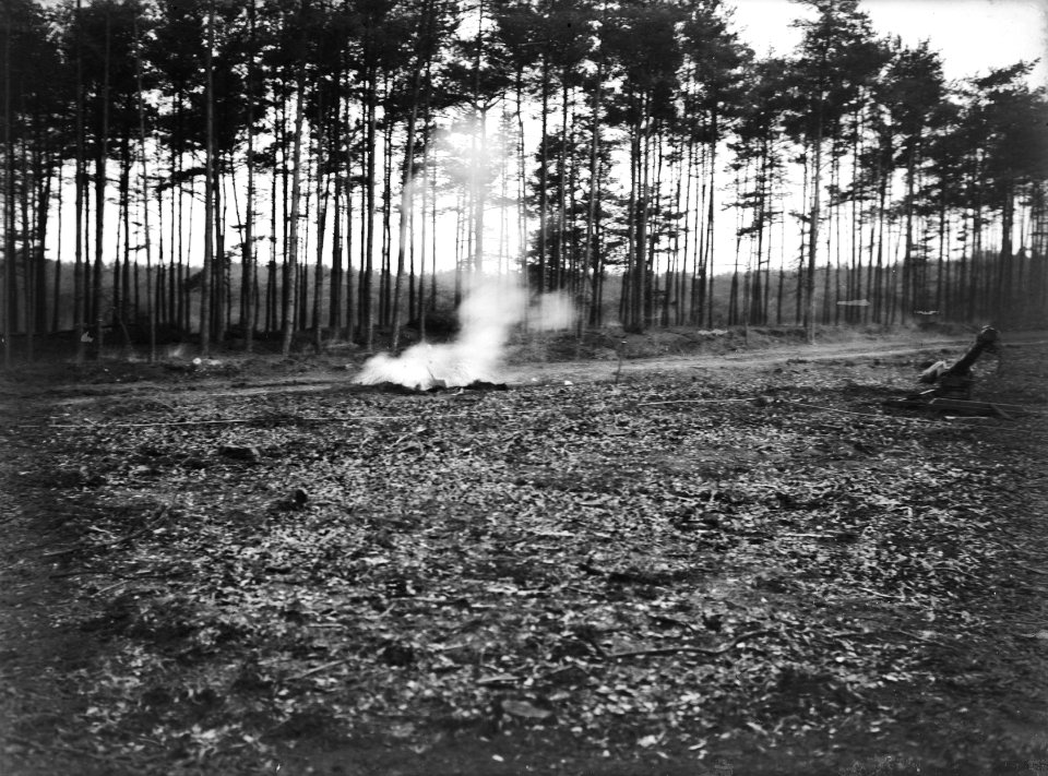 Bomen, springlading, Bestanddeelnr 192-0665