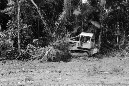 Bomen, werktuigen, werkzaamheden, Bestanddeelnr 251-3565
