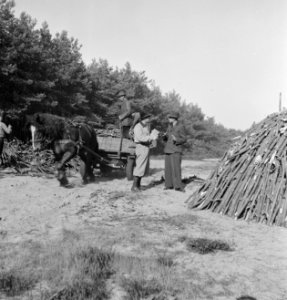 Bossen, bospaden, paard-en-wagen, mannen, Bestanddeelnr 251-7247