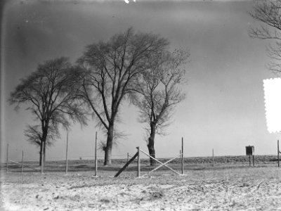 Bomen, Bestanddeelnr 904-9870