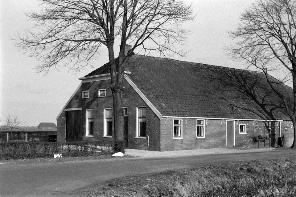 Boerderij te Nieuwe Pekela (ruilverkaveling Pomppolder), Bestanddeelnr 170-1972