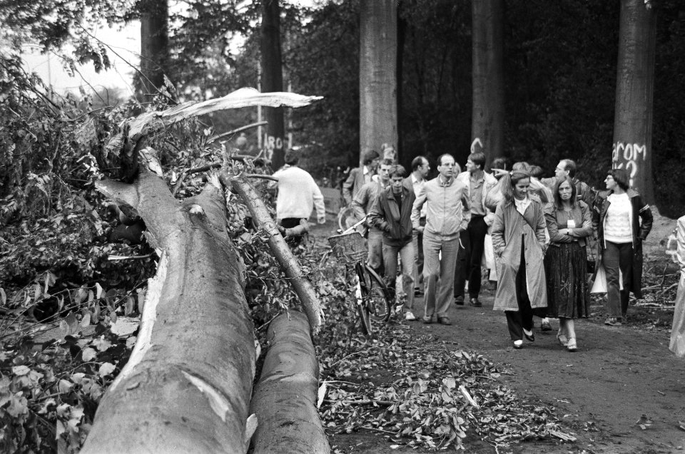 Bomen, bossen, publiek, Utrecht (prov), Bestanddeelnr 932-3419