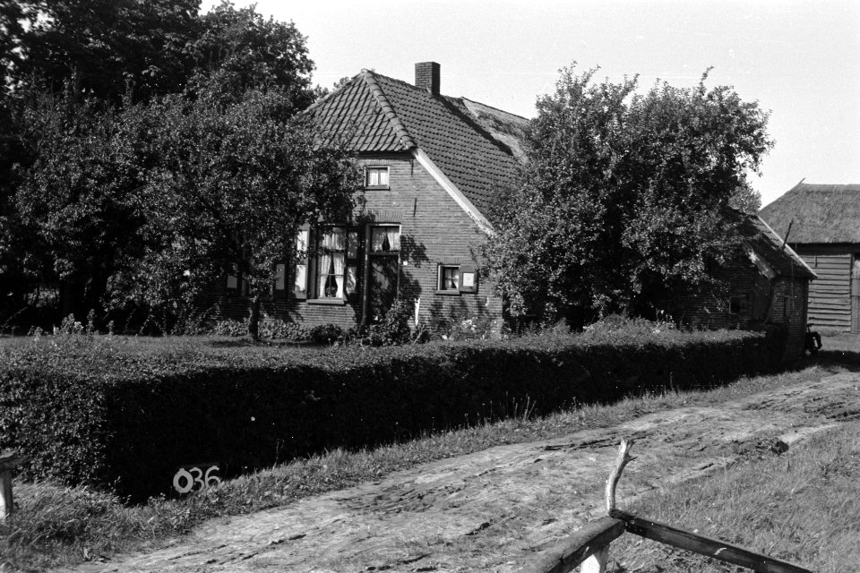 Boerderij te Ommen (ruilverkaveing Zelhorst), Bestanddeelnr 170-1736
