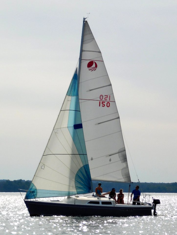 Bombardier 7.6 sailboat Silverback 1630
