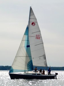 Bombardier 7.6 sailboat Silverback 1630