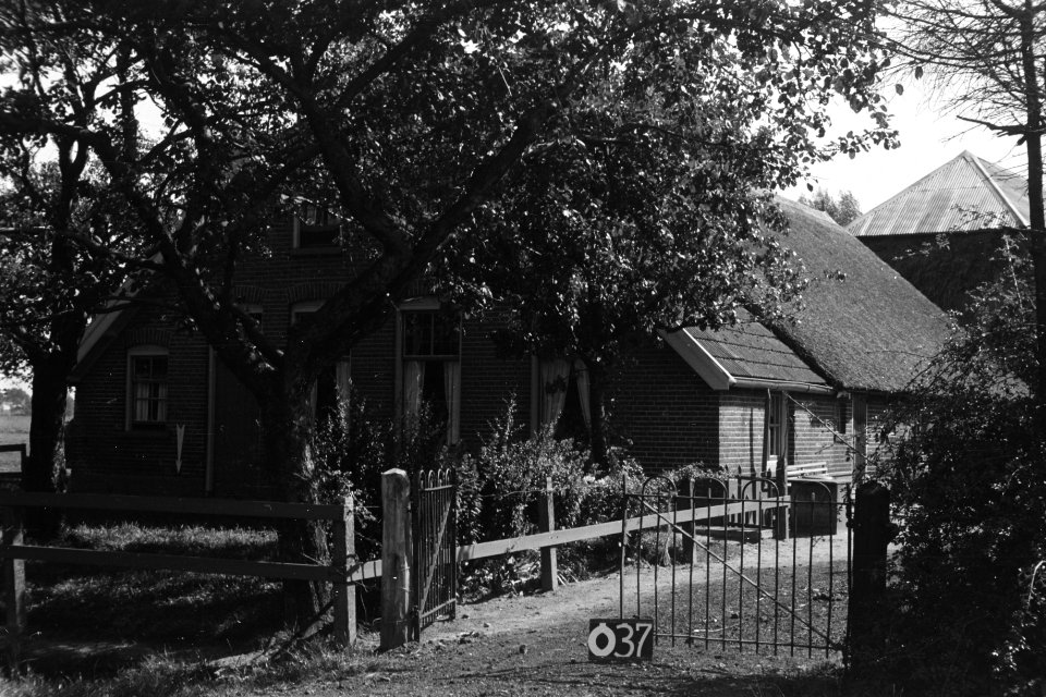 Boerderij te Ommen (ruilverkaveing Zelhorst), Bestanddeelnr 170-1734