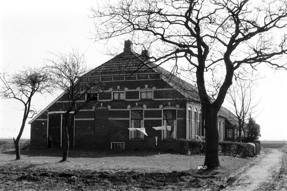 Boerderij te Nieuwe Pekela ruilverkaveling Pomppolder, Bestanddeelnr 170-1953